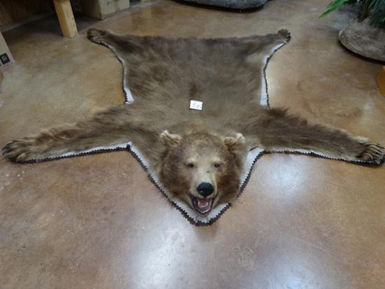 Pretty Chocolate Brown Colored Black Bear Rug Taxidermy (1 of 6)