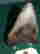 item-126866277=2