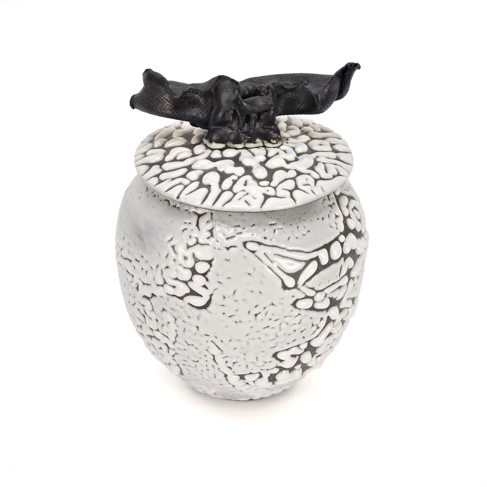 Beautiful Lidded Vessel Studio Pottery by Renowned Artist Shane Norrie (1 of 7)