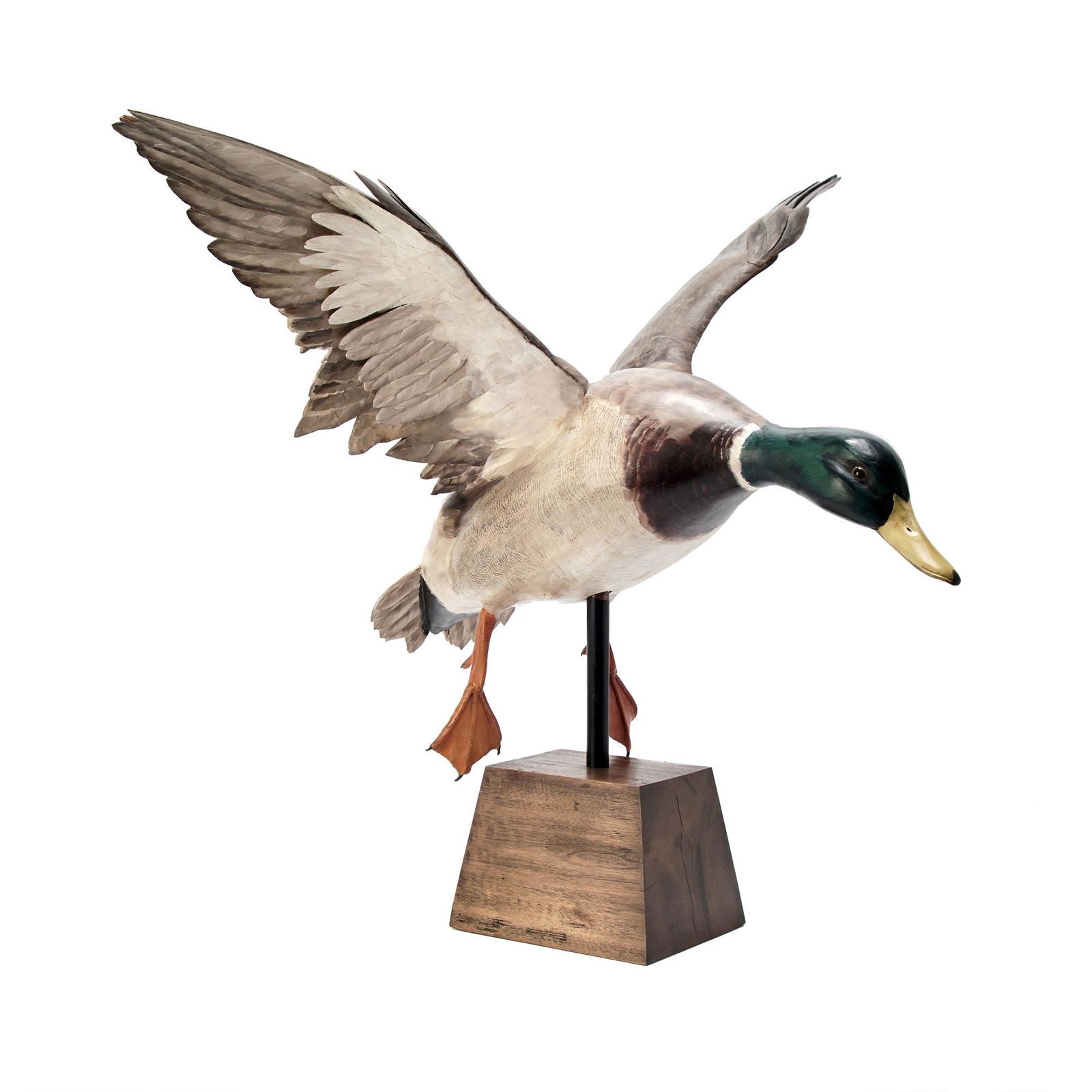 Spectacular Wood Carving Sculpture Of Mallard In Flight (1 of 12)