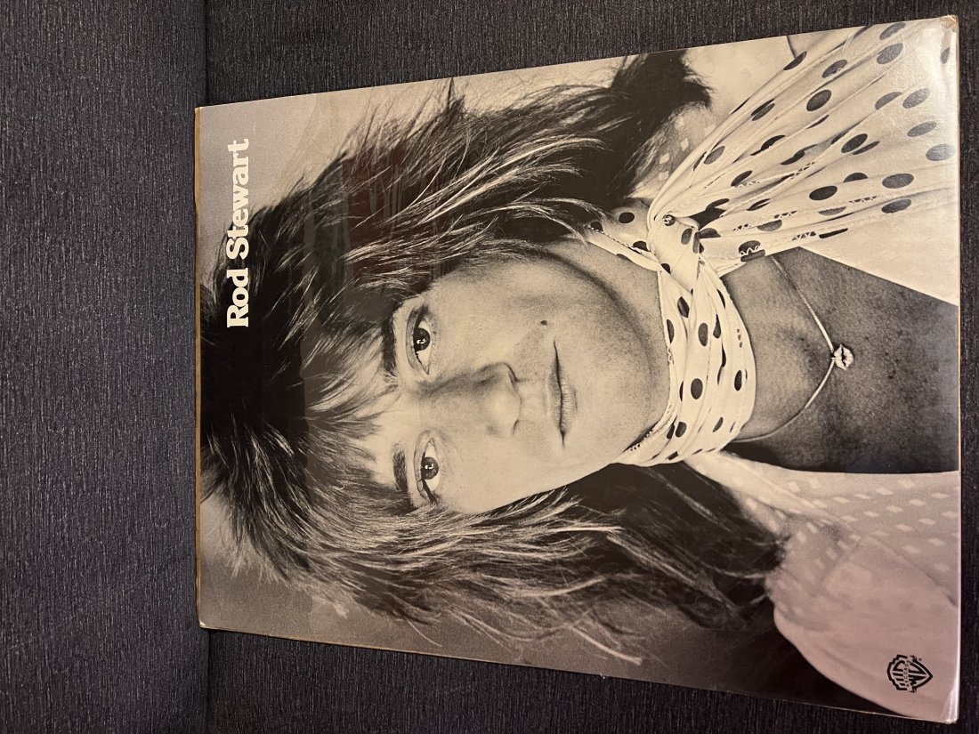 Rod Stewart Warner Brothers Promotional Poster: Rod Stewart Warner Brothers Promotional PosterLight cornerwearNo other significant visible damage 27” x 21”