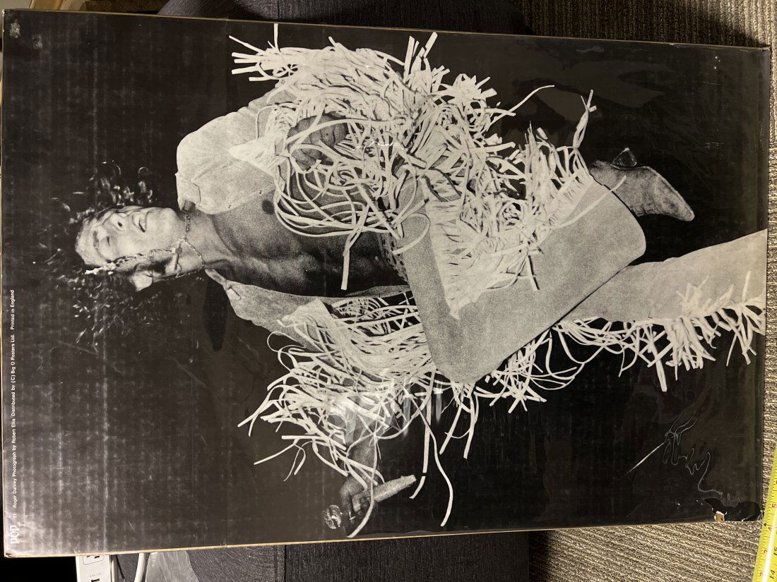 Roger Daltrey Poster Photographed by Robert Ellis (1 of 6)