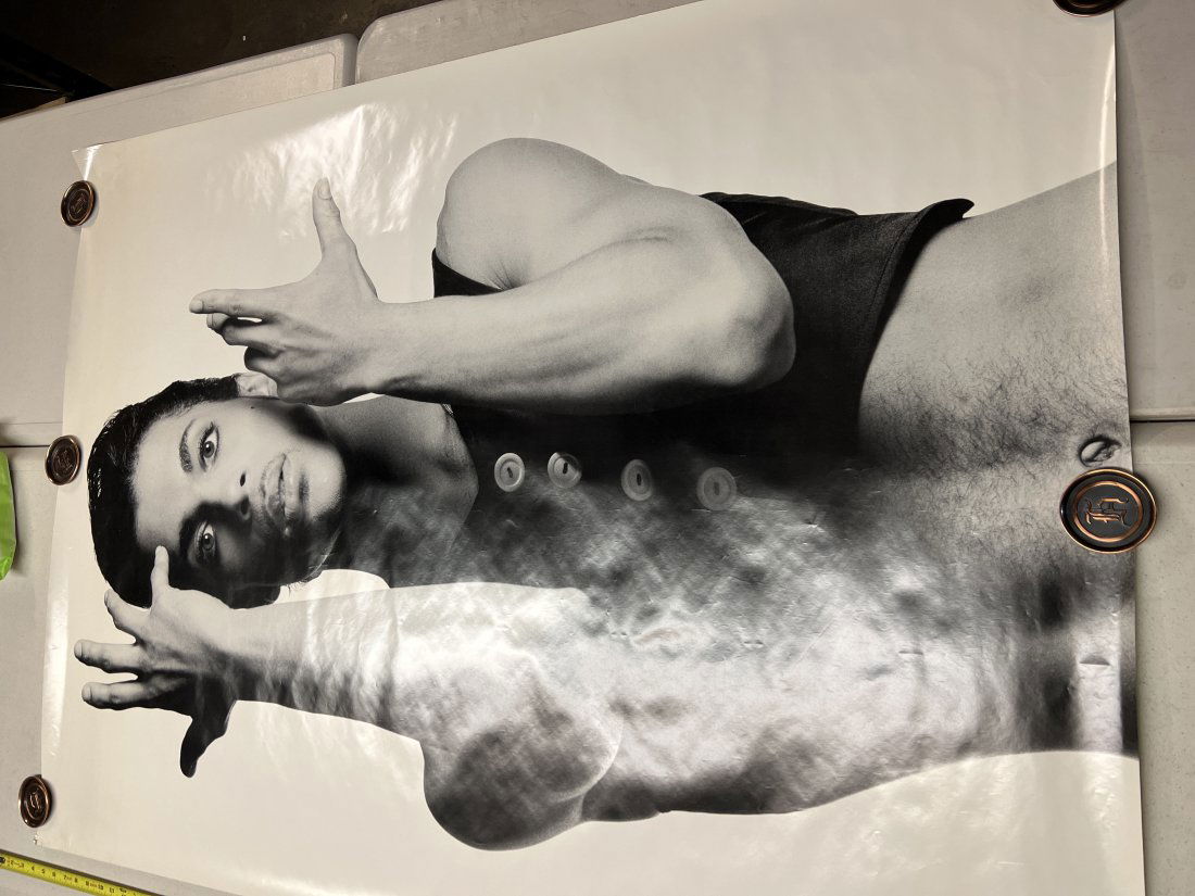 Prince 1986 Album Promo Warner Brothers Records Poster (1 of 11)