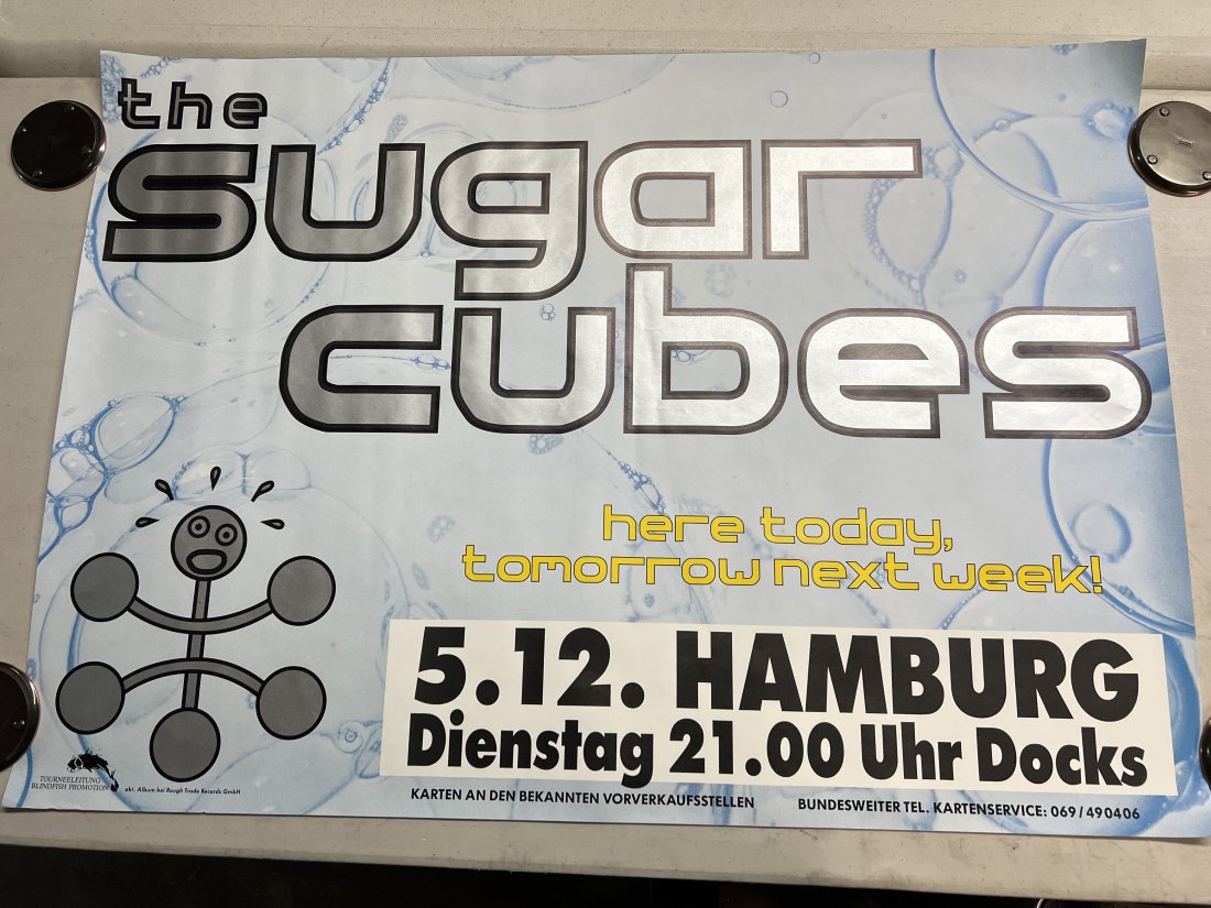 The Sugar Cubes Here German Show Promo Poster: Poster may show minimal damages such as cornerwear, edgewear as shown in photos. Posters may also show crease marks due to prior forms of storage. Measurements: 33” x 23.5”
