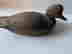 item-128472904=3