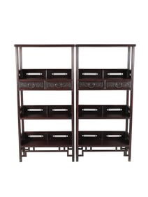 Purple sandalwood dragon pattern two drawer bookshelf