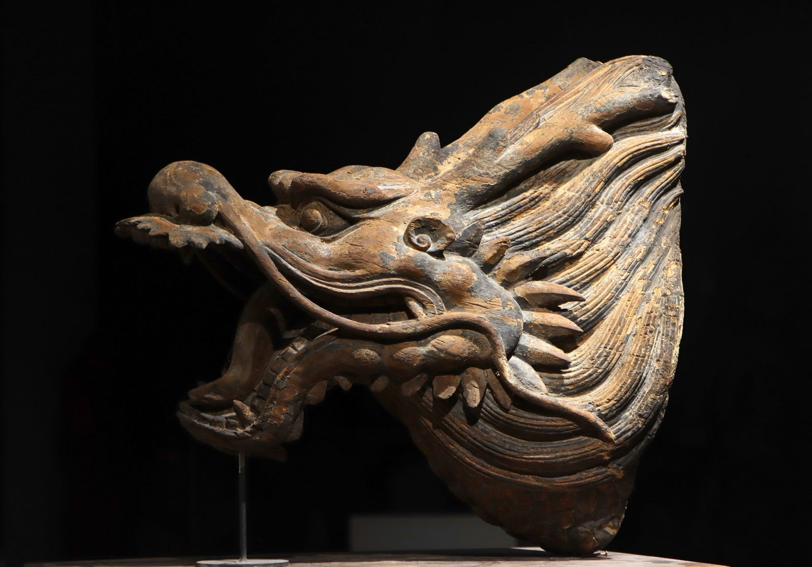 Nanmu Dragon Head: H:53cm L:53cm