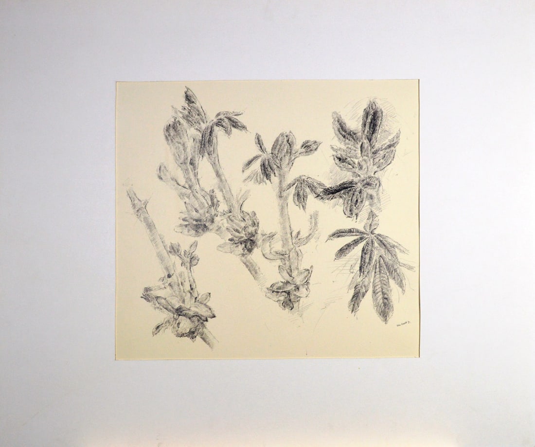 Ery Brusse - Pencil Drawing: Handsigned, dated and titled. Comes with Passe-Partout.Comes from the collection of the municipality of The Hague, The Netherlands.