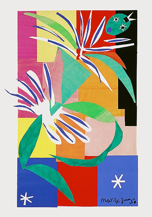 Matisse, Henri - Creole Dancer - Poster (1 of 1)