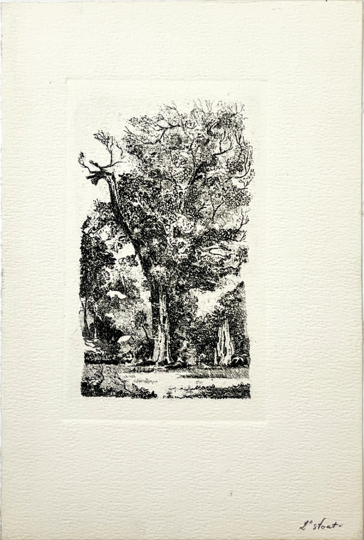 Great etching of a tree on handmade paper: Beautiful etching, 2nd condition, probably by a well-known old Dutch Artist.For those who recognise, probably a bargain. Comes from the collection of the municipality of The Hague, The Netherlands.