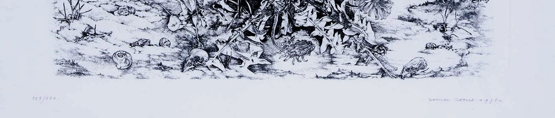 Simon Koene - Hand signed - 2