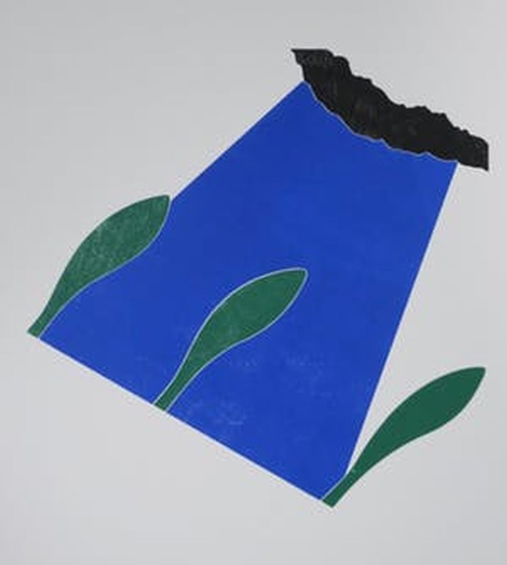 Nieboer, Tiddo - Woodcut - Handsigned: Handsigned and numberd in pencil by the Arstist, come with frame and Passe-Partout