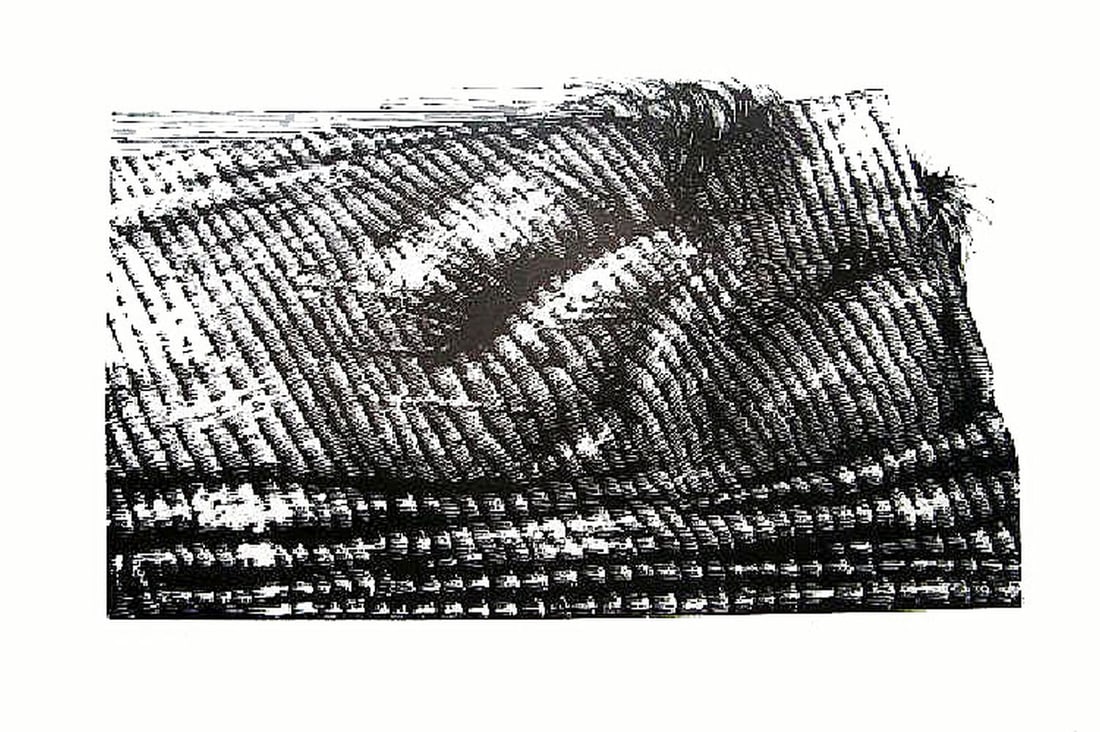 Linocut - Polish Artist - Hand-signed: The Coverlet, Unknown Polish Artist – A hand-signed linocut, titled and numbered in pencil by the artist (edition 22/40). Executed in bold black and white, the work presents a highly textural compos