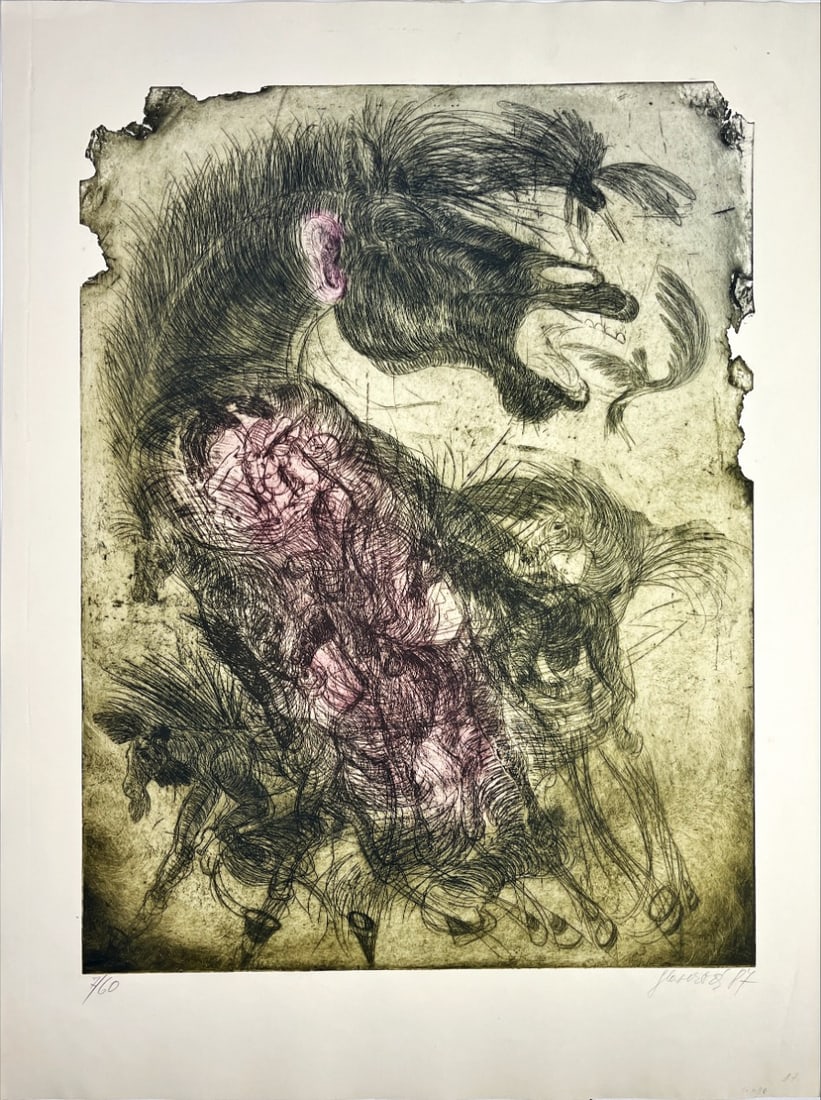 Ingrid Glaserová - Color Etching - Hand signed: Ingrid Glaserová (1955-She studied at the Academy of Arts and Crafts in Prague in the studio of film and television graphics and at the Rietveld Accademy in Amsterdam, then went to the USA. She