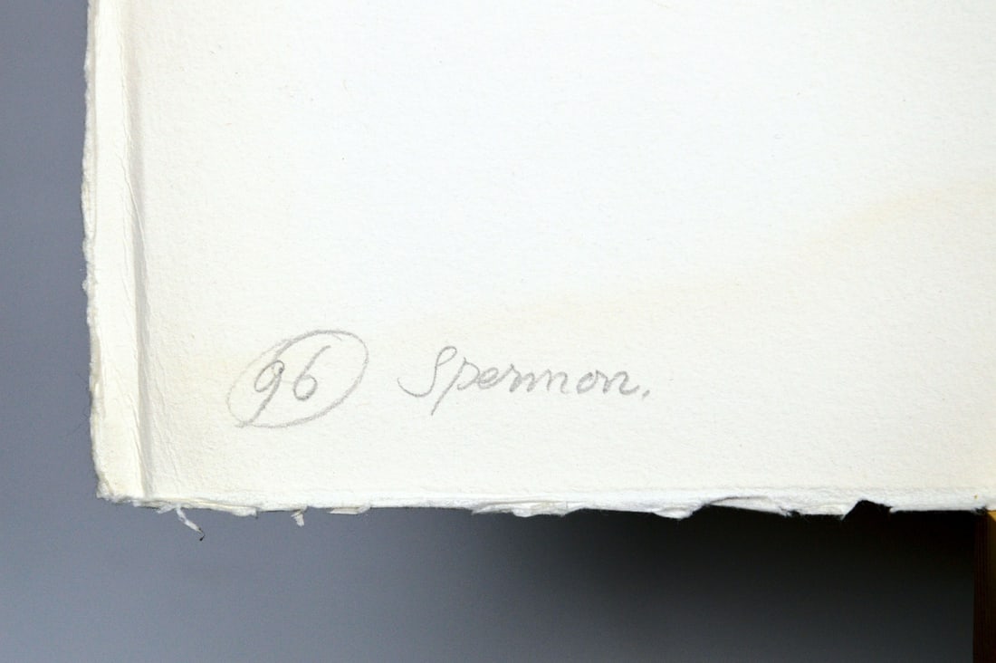 Kees Spermon - Silkscreen - Handsigned - 5