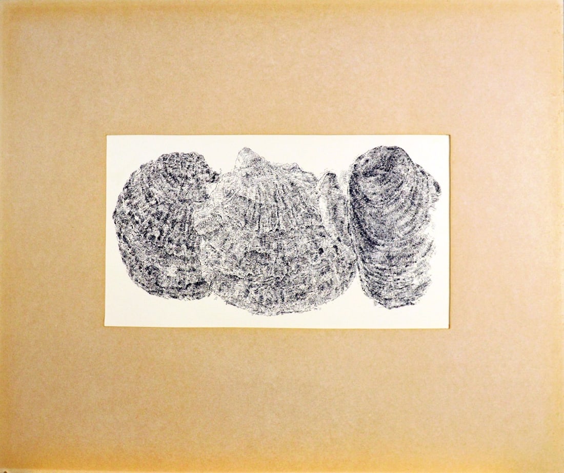 Ery Brusse - Ink Drawing: Artist: Brusse, Ery Title: Oppervlak Schelpen Technique: Ink drawing on Handmade paper size: 27,5 x 40,5 cm. (10,85 x 15,95 inch) Framed: 50 x 60 cm. (0 x 0 inch.) More Informa