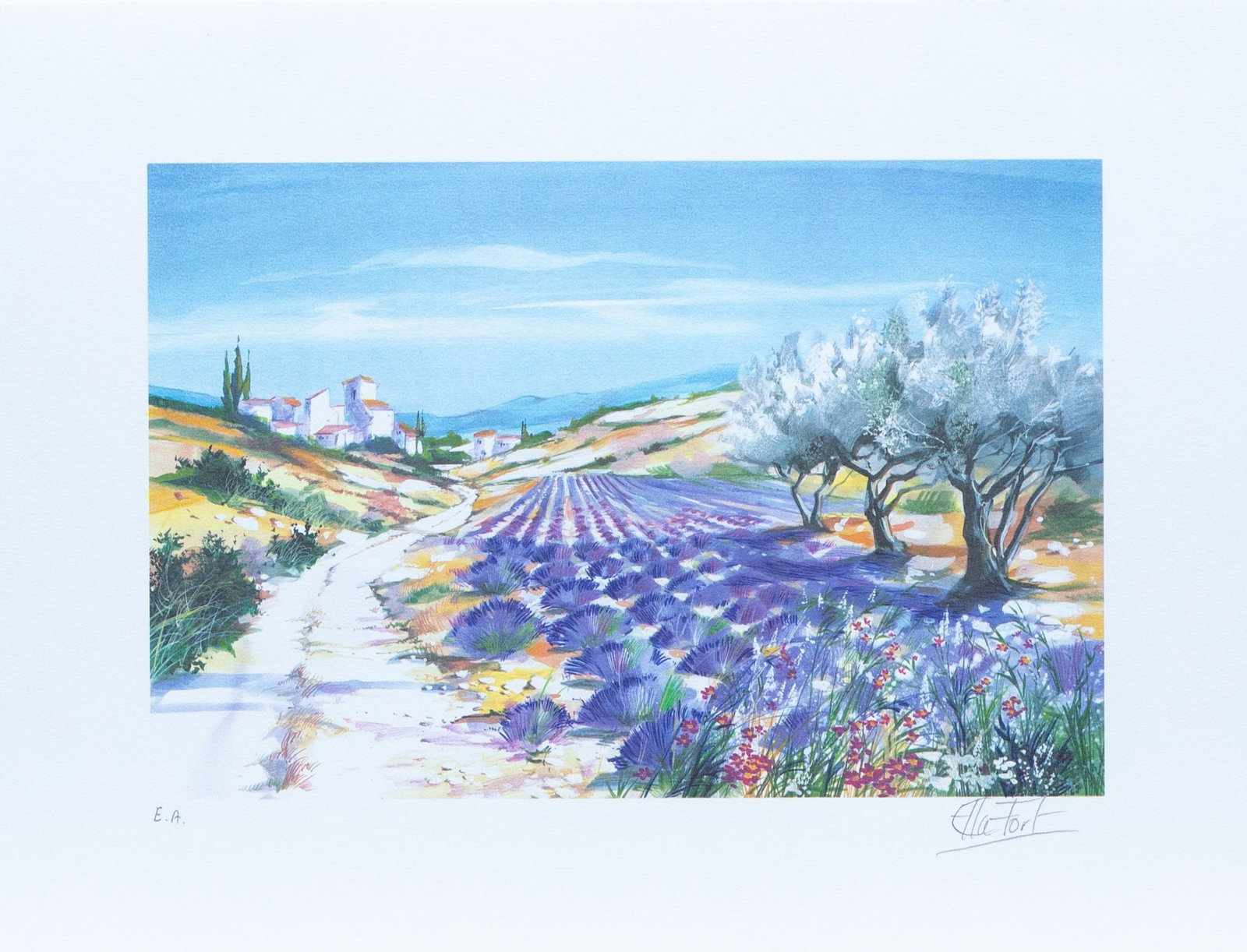 Fort, Ella - Lithograph.: Artist: Fort, Ella Title: Blooming lavender Technique: Lithograph on Paper size: 30 x 40 cm. (11,8 x 15,75 inch) Framed: Not framed More Information Hand signed and numbere
