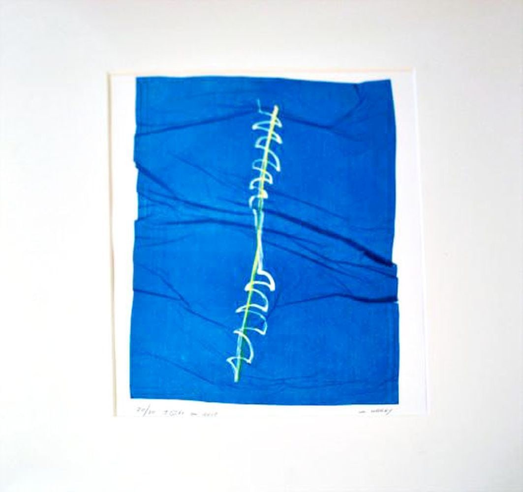 Hardy, C. - Silkscreen - Hand signed: Artist: Hardy, C. Title: Flute en Soil Technique: Silkscreen on Handmade paper size: 60 x 50 cm. (23,6 x 19,7 inch) Framed: 0 x 0 cm. (0 x 0 inch.) More Information