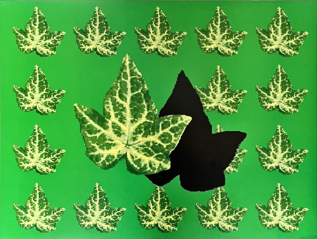 Eva Ruhland - Color offsetlithograph - Hand signed: Artist: Ruhland, Eva Title: Maple Leaves Technique: Offset lithograph on Heavy weight smooth paper size: 50 x 66 cm. (19,7 x 26 inch) Framed: Not framed More Information Eva Ruhland is a German