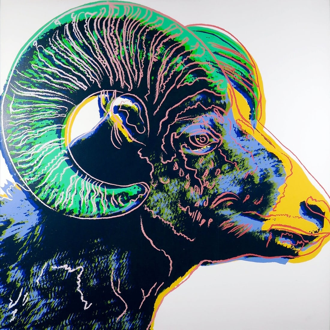 Andy Warhol - Silkscreen - Bighorn Ram from the series Endangered Species: Artist: Warhol, Andy Title: Bighorn Ram Technique: Silkscreen on Lenox museum board size: 96,52 x 96,52 cm. (38 x 38 inch) Framed: Not framed More Information Screen print titled Bighorn Ram from the