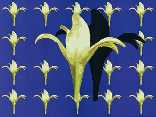 Eva Ruhland - Color offsetlithograph - Hand signed: Artist: Ruhland, Eva Title: French lily Technique: Offset lithograph on Heavy weight smooth paper size: 50 x 65 cm. (19,7 x 25,6 inch) Framed: Not framed More Information<