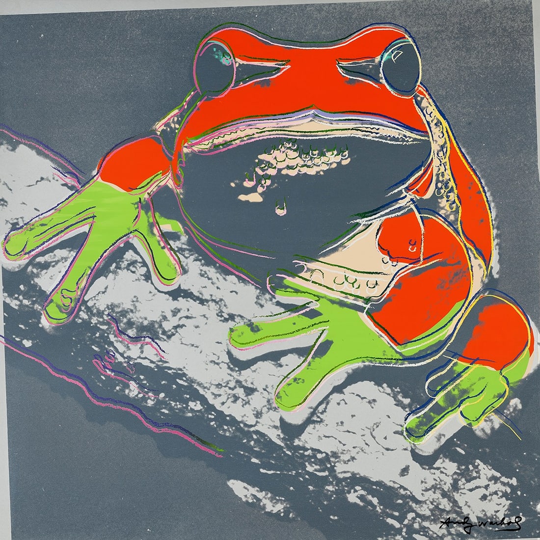Andy Warhol - Pine Barrens Tree Frog of the series Endangered Species - Silkscreen: Artist: Warhol, Andy Title: Pine Barrens Tree Frog Technique: Silkscreen on Lenox museum board size: 91 x 91 cm. (35,85 x 35,85 inch) Framed: Not framed More Information Celebrate one of Andy