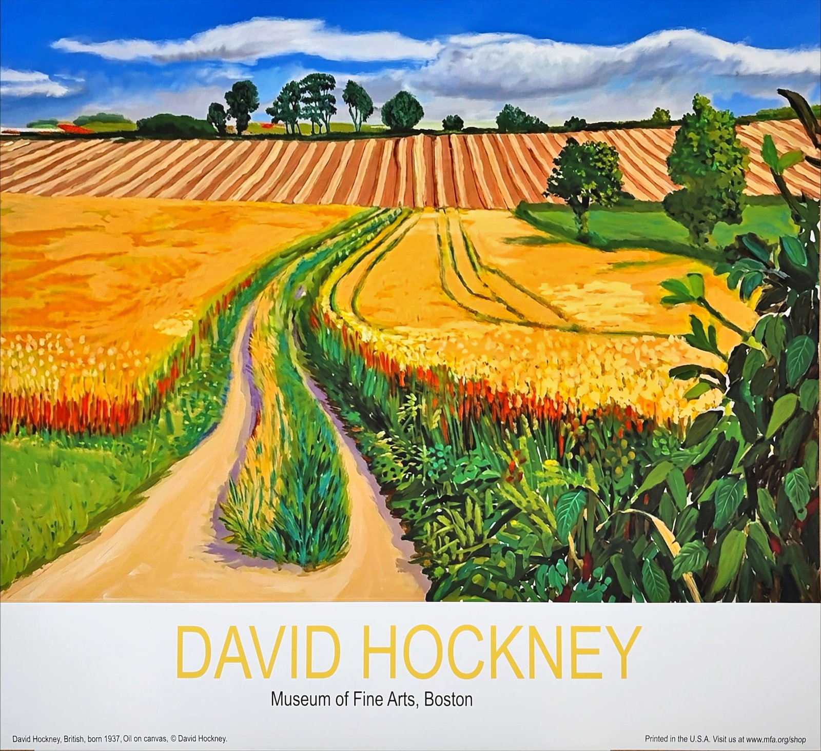 David Hockney - Poster Exhibition Museum of Fine Arts Boston - 1998 (1 of 3)