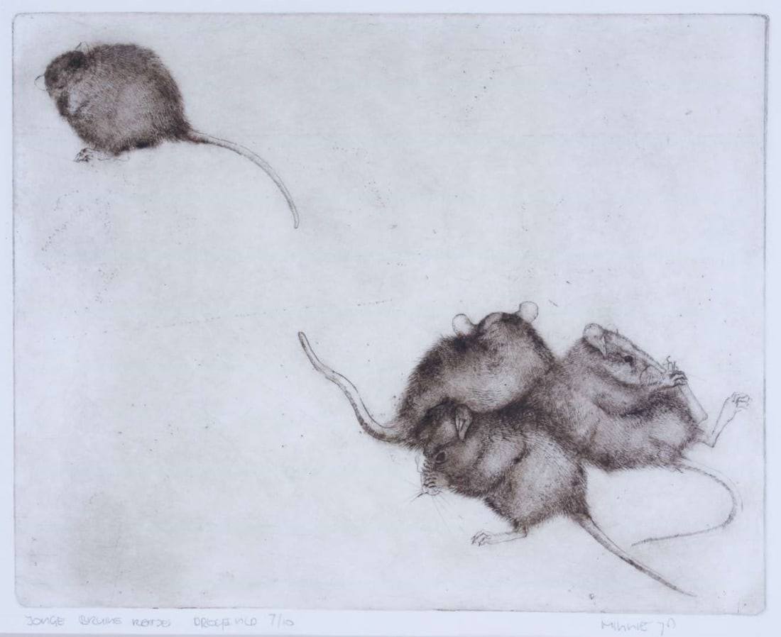 Minnie - Dry needle etching - Hand signed: Artist: Minnie Title: Bruine ratjes Technique: Etching on Handmade paper size: 30 x 35 cm. (11,8 x 13,8 inch) Framed: 50,5 x 40,5 cm. (19,9 x 15,95 inch) More Information</
