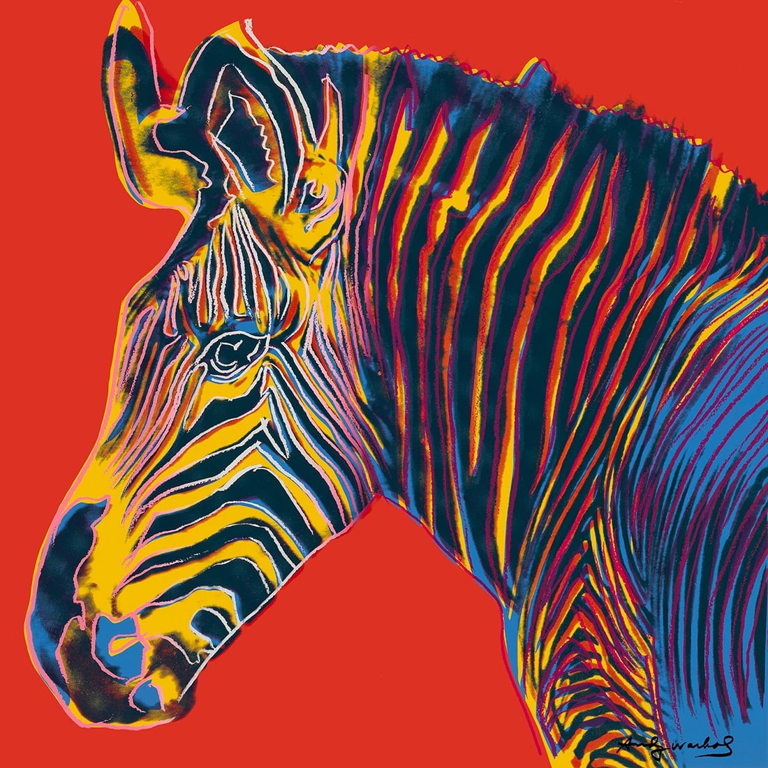 Andy Warhol - Grevy's Zebra of the series Endangered Species - Silkscreen: Artist: Warhol, Andy Title: Grevy's Zebra Technique: Silkscreen on Lenox museum board size: 91 x 91 cm. (35,85 x 35,85 inch) Framed: Not framed More Information Cel