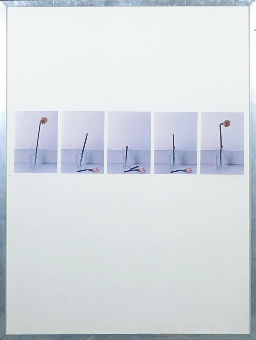 John de Rijke - Photolithograph: Artist: Rijke, John de Title: Narcissus Technique: Photolithograph on Paper size: 12 x 44 cm. (4,7 x 17,3 inch) Framed: 65,5 x 49 cm. (25,8 x 19,3 inch) More Information Handsigned. numbered and