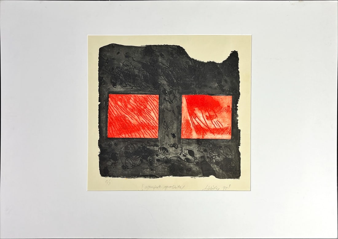 Great Silkscreen / relief pressure. - Hand signed: Artist: Unknown / Unreadable Artist Title: Unreadable title Technique: Silkscreen on Handmade paper size: 61 x 77 cm. (24 x 30,3 inch) Framed: 70 x 100 cm. (27,55 x 39,35 inch) More Information