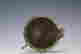 item-131267439=8