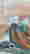 item-131267472=3