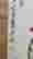item-131267474=4