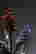 item-134393352=7