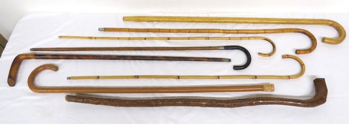 A Group of Bamboo and Other Canes