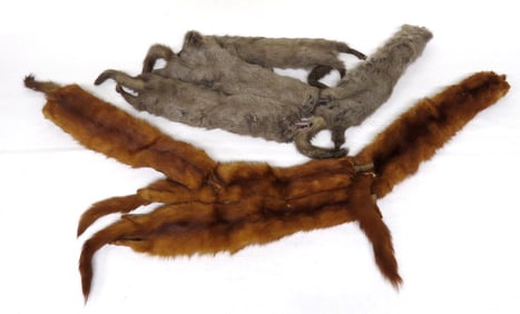 Two Vintage Full Body Mink Stoles in Two Colors.