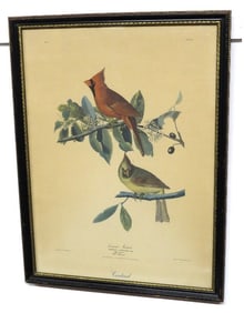 Northwestern Mutual Life Framed Ornithological Cardinal's Print