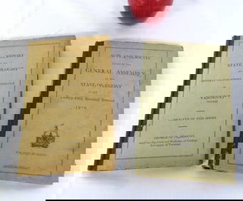 Two Vols 1919-1920 Vermont Laws and VT Geologist Report