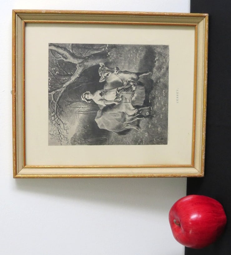 19th C. A.C. Alais Engraving - Jersey (1 of 7)