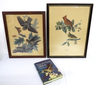 Northwestern Mutual Life Framed Ornithological Cardinal's Print