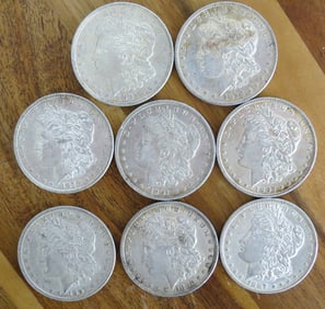 Group of 8 Morgan Silver Dollars - Nicer Grades.