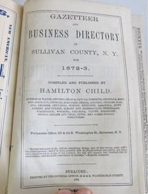 Two Hamilton Child Sullivan County NY Directories for 1872-73