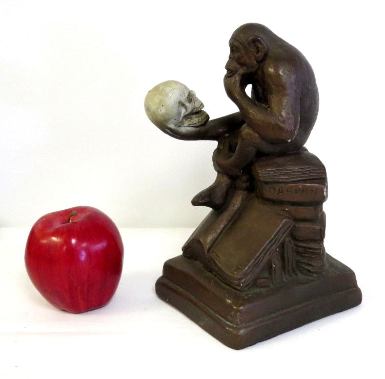 1962 Austin Productions Darwin's Theory of Evolution Statue: An Austin Production Plaster Sculpture c.1962 providing an interesting perspective, maybe it really would have been better the other way around! Seated monkey holding a human skull, imagine what he's