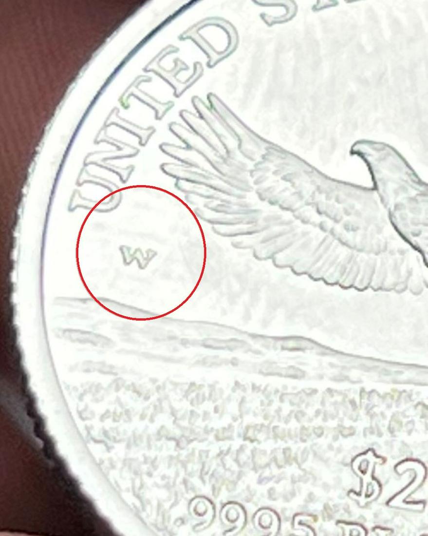 2000-W 1/4 ozt .9995 $25 Platinum American Eagle: Winner shall receive the exact coin shown here. (EP/UTI)