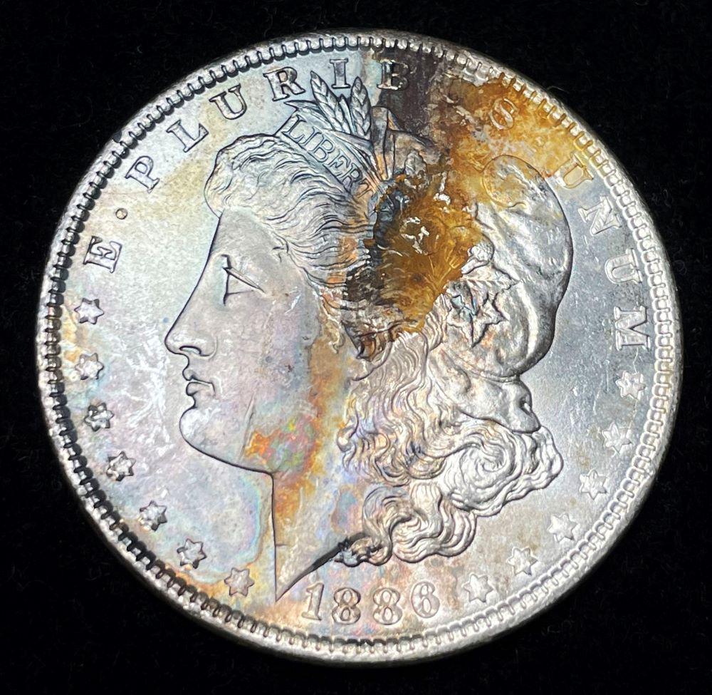1886 Morgan Silver Dollar MS65 Details (1 of 2)