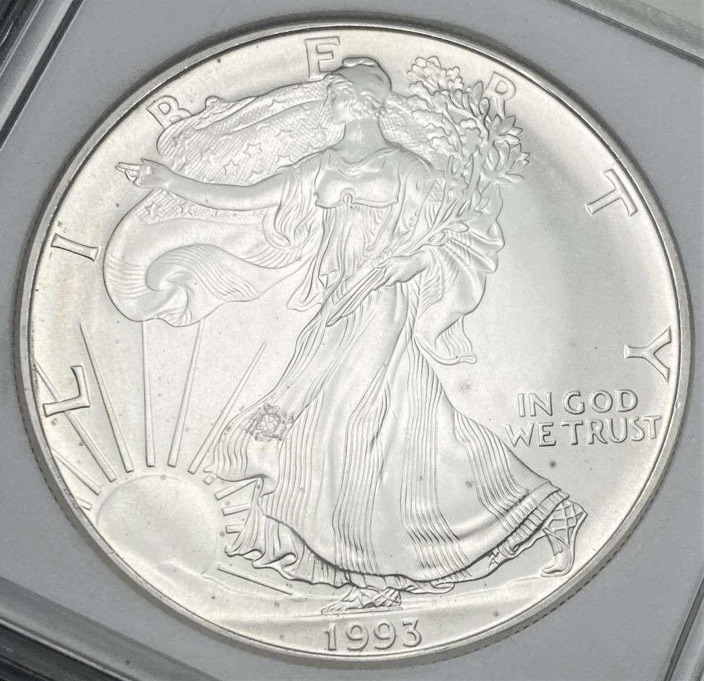 1993 American Silver Eagle MS70? (1 of 4)