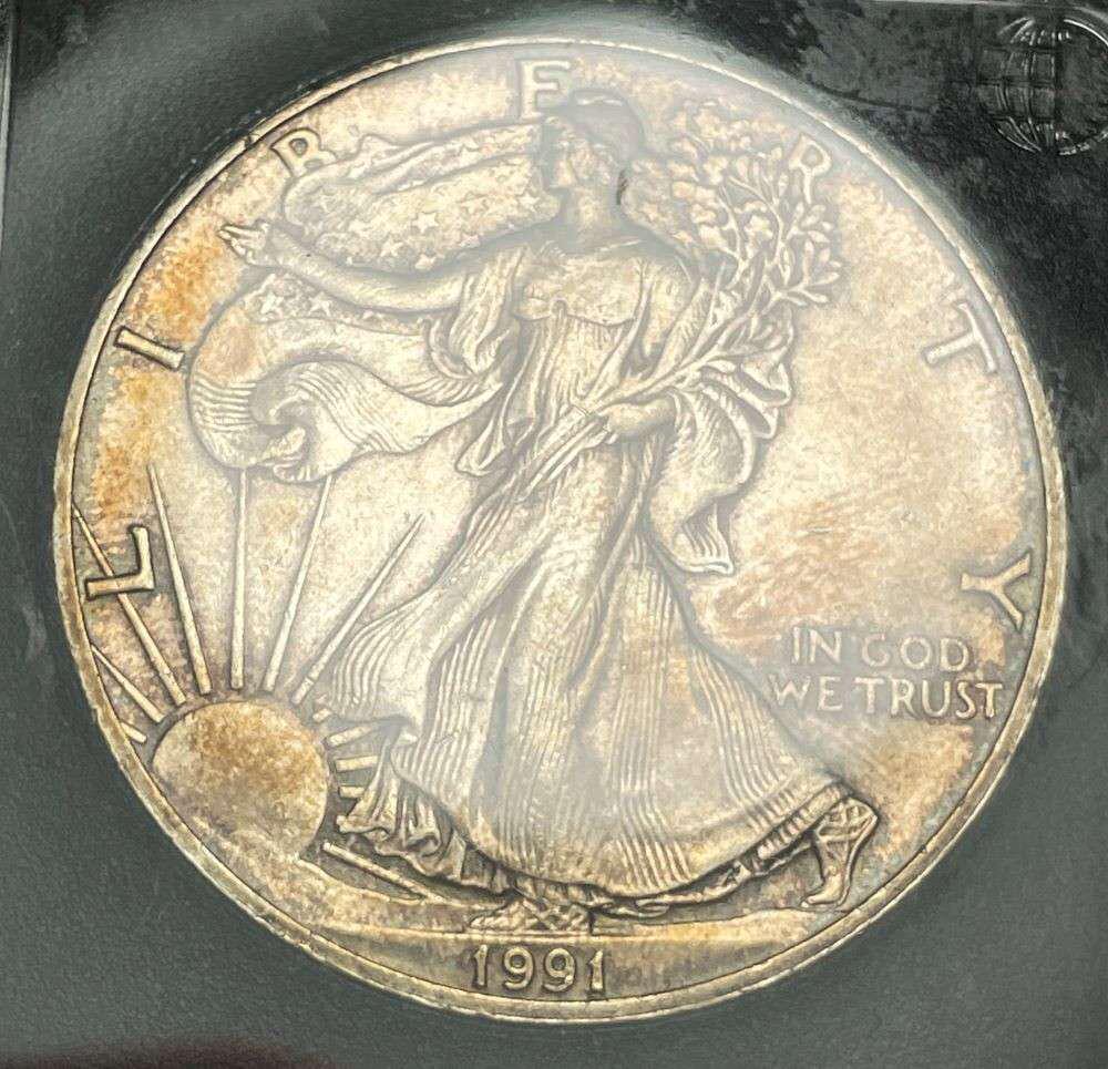 1991 American Silver Eagle: Winner shall receive the exact coin shown here. (JM/B)