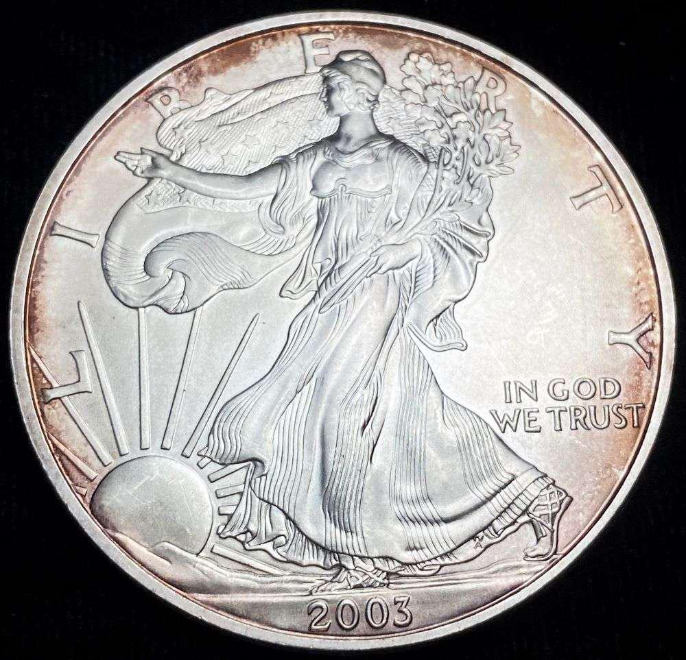 2003 American Silver Eagle: Winner shall receive the exact coin shown here. (RR/B)