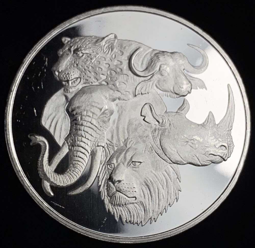 Big Five Proof 1 ozt .999 Silver (1 of 3)